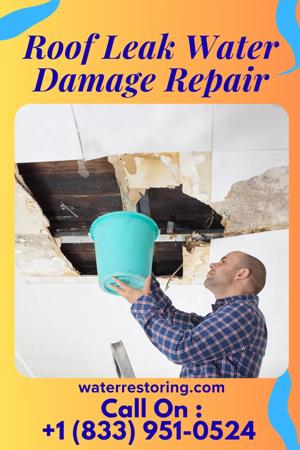 Roof Leak Water Damage Repair in Cove, OR